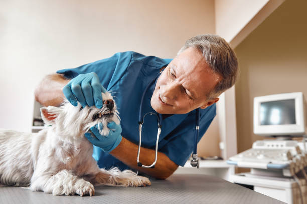 Best Emergency Tooth Extraction in Summit, MS